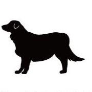 オーストラリアンシェパード_ペットシルエットカートプレート_犬グッズ_名入れ_PET-TEP_ENT_023_182 | 2枚目