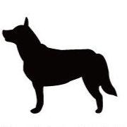 オーストラリアンキャトルドッグ_ペットカートプレート_犬グッズ_名入れ_PET-TEP_ENT_021_180 | 2枚目