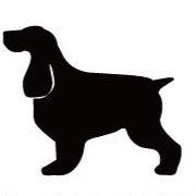 イングリッシュコッカースパニエル_ペットカートプレート_犬グッズ_名入れ_PET-TEP_ENT_014_117 | 2枚目