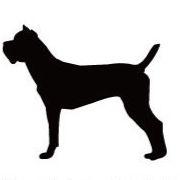 イタリアンコルソドッグ_ペットシルエットカートプレート_犬グッズ_名入れ_PET-TEP_ENT_011_175 | 2枚目