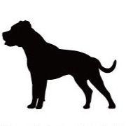 アメリカンスタッフォードシャーテリア_ペットカートプレート_犬グッズ_名入れ_PET-TEP_ENT_008_173 | 2枚目